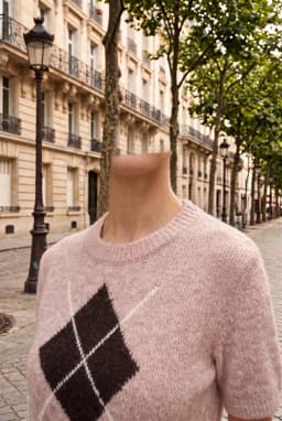Beige Argyle Pattern Short Sleeve Textured Knit Sweater